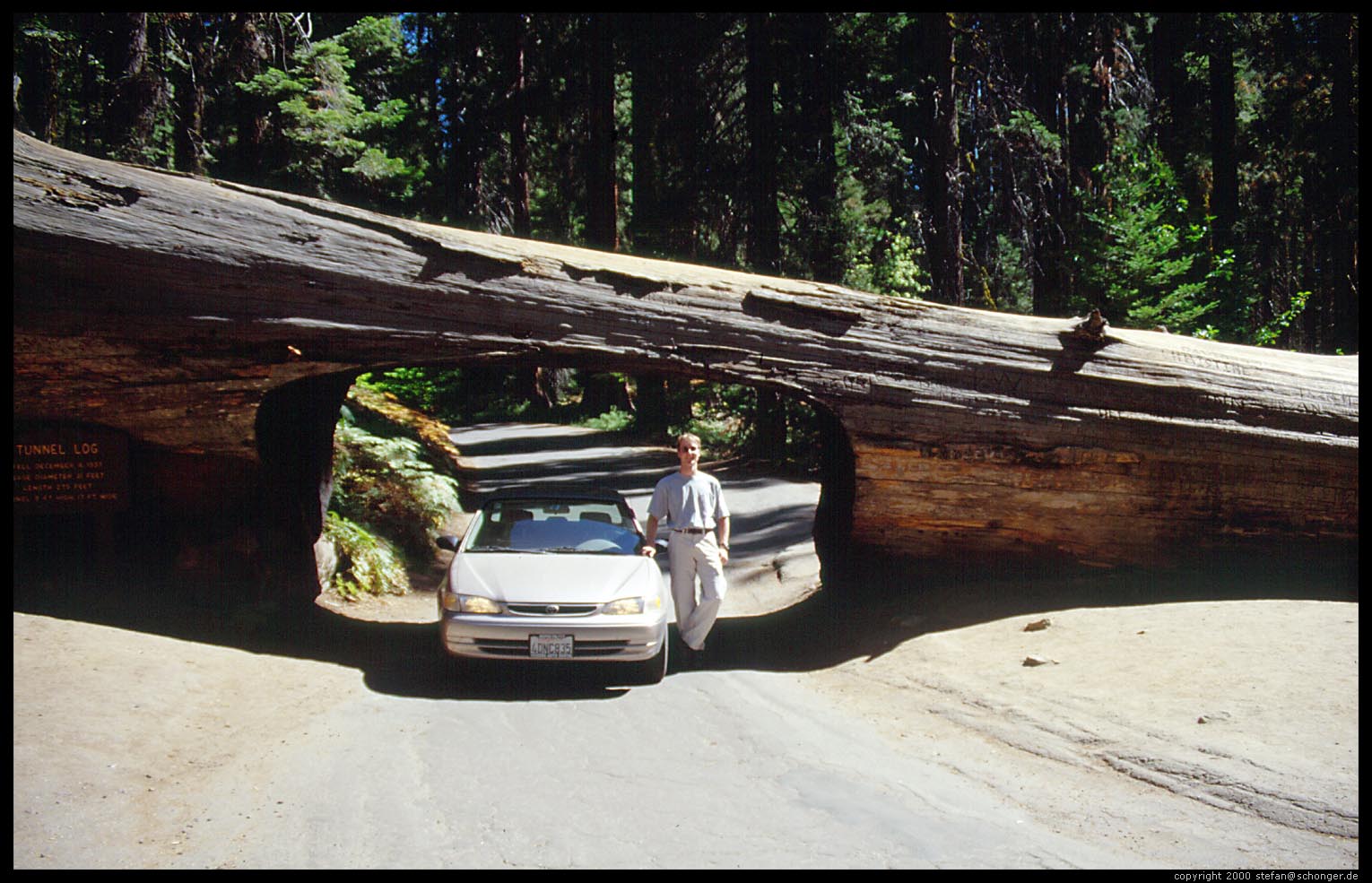 Tunnel Log. Sequoia National Park, CA, Aug 2000